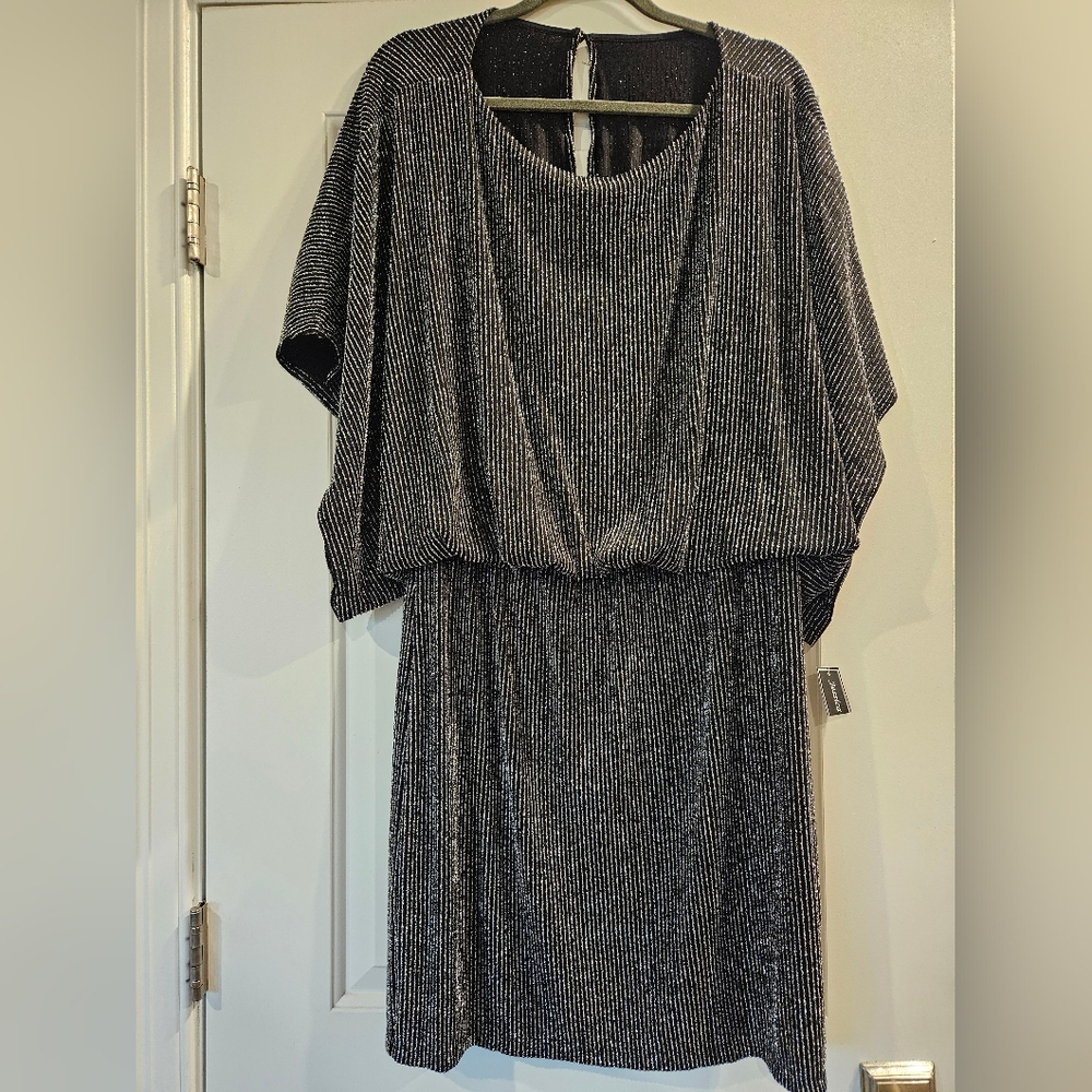 Jessica Howard, Size 16, Dolman Sleeve, Silver Metallic Dress